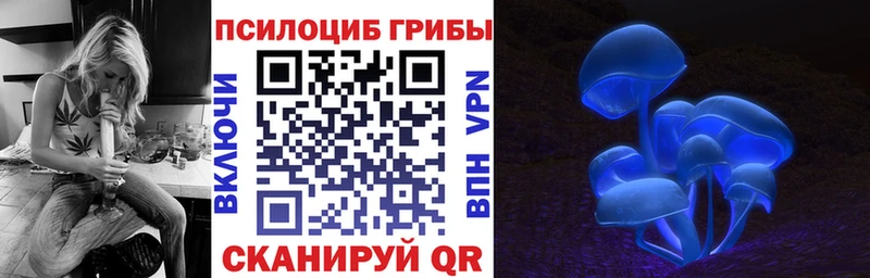 Галлюциногенные грибы MAGIC MUSHROOMS  Купить закладки  Таштагол 